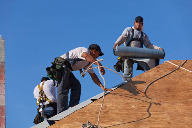 Best Storm Damage Roof Repair  in Mpbell, CA